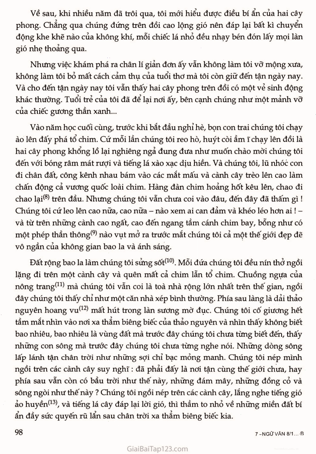 Hai cây phong dưới bầu trời