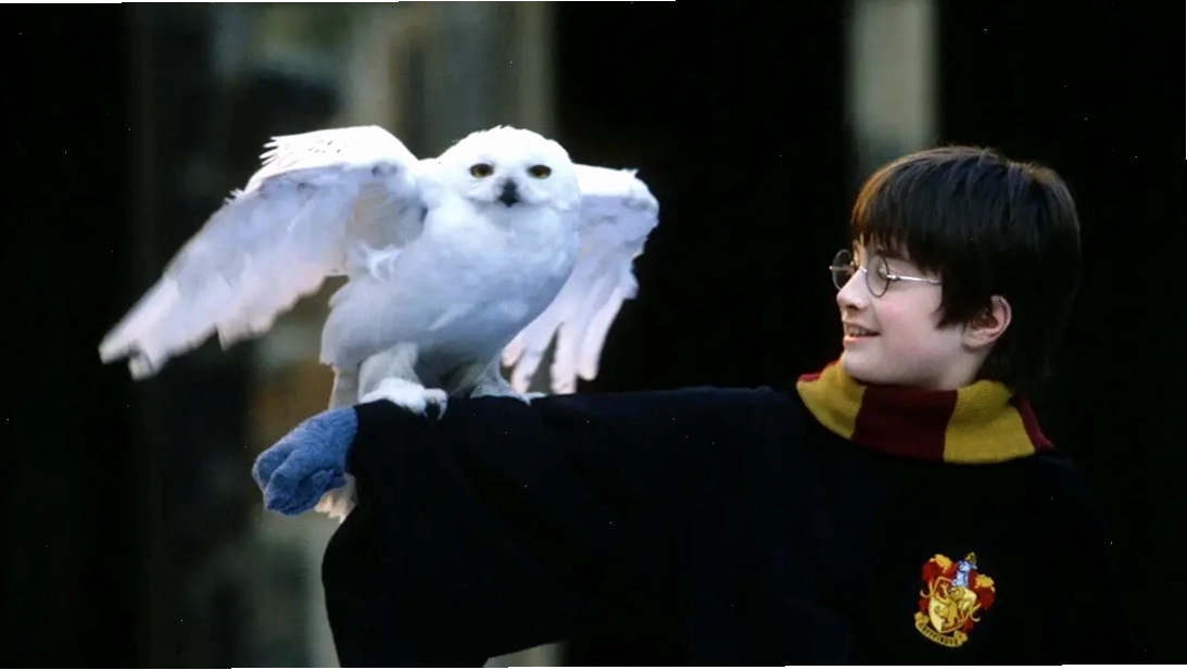 Harry Potter phiên bản anime với phong cách vẽ độc đáo