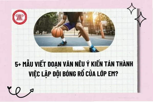 Hình ảnh bóng rổ minh họa cho tinh thần đồng đội