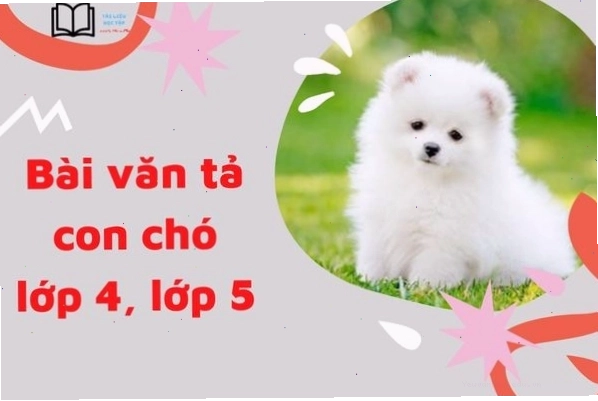Hình ảnh chú chó đang vui đùa cùng em bé