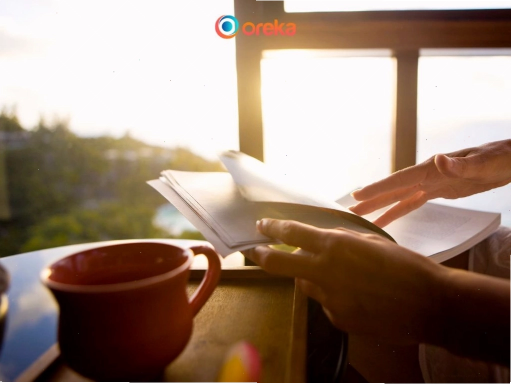 Hình ảnh độc giả đang đọc sách Cây cam ngọt của tôi bên cửa sổ