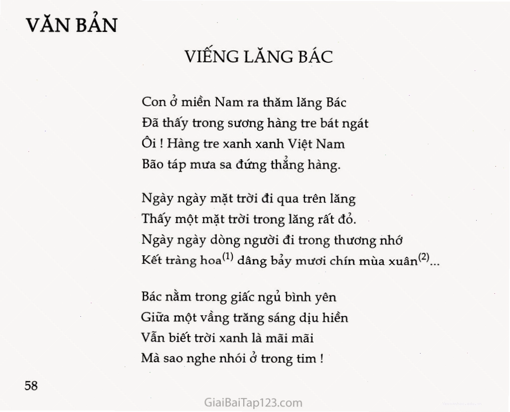 Hình ảnh hàng tre xanh bên lăng Bác