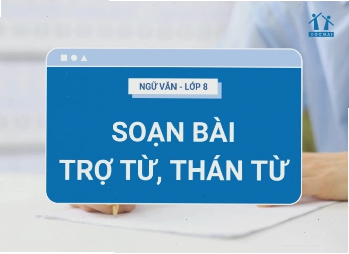 Hình ảnh minh họa bài soạn văn 8 về trợ từ và thán từ
