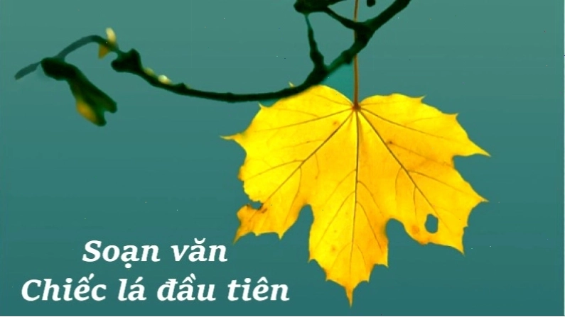 Hình ảnh minh họa bài thơ Chiếc lá đầu tiên