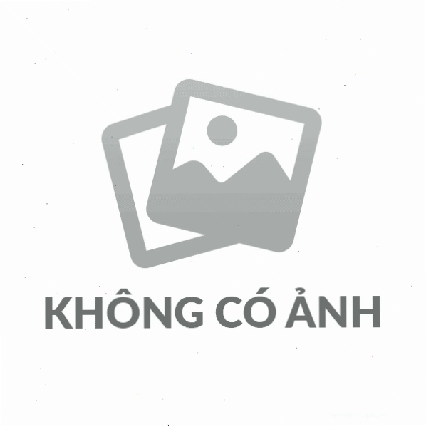 Hình ảnh minh họa cảnh biển với các yếu tố thuộc trường từ vựng liên quan