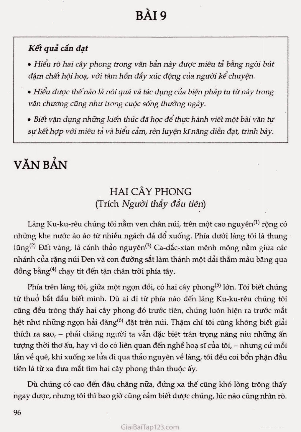 Hình ảnh minh họa hai cây phong