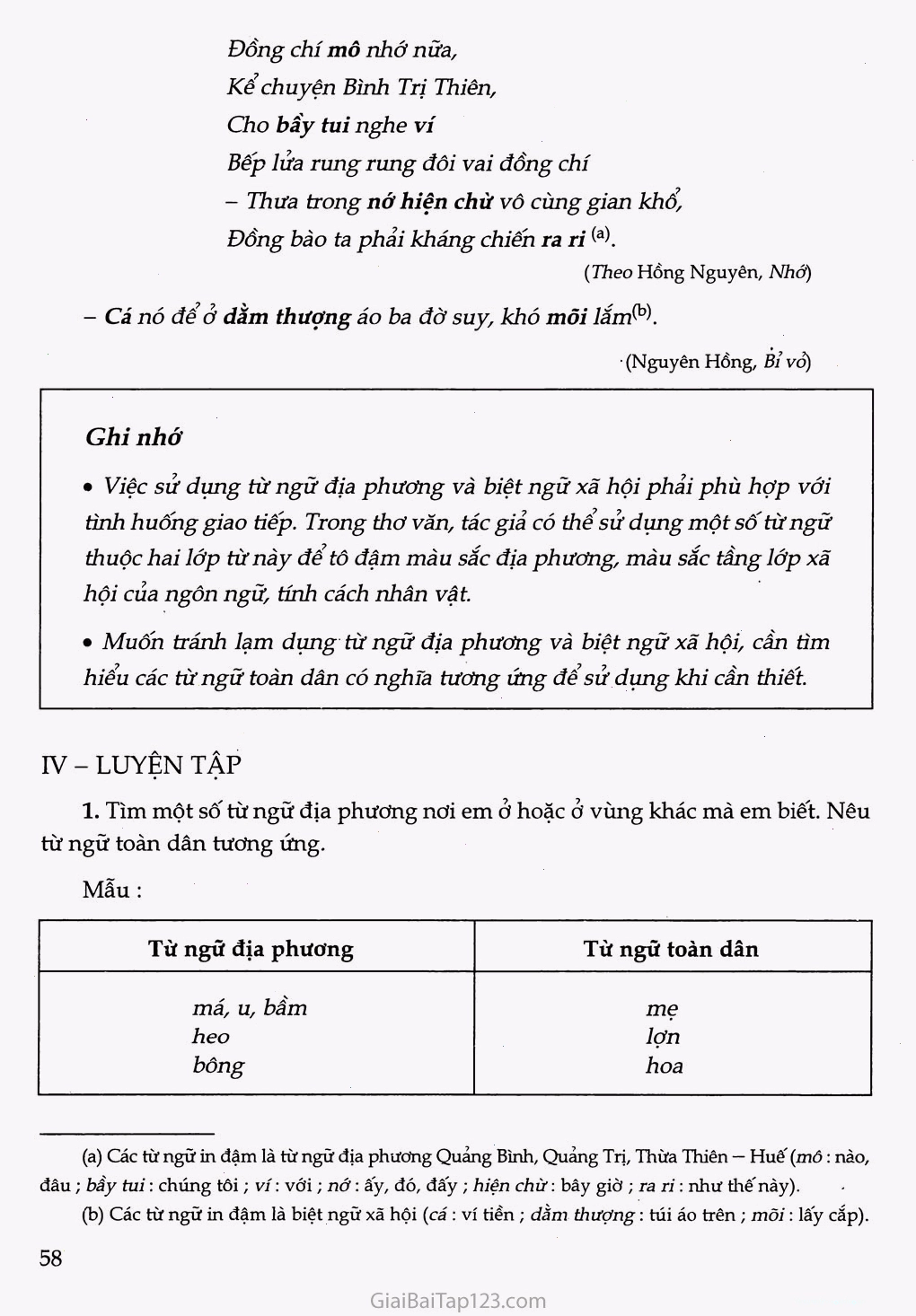 Hình ảnh minh họa sự đa dạng của ngôn ngữ Việt Nam
