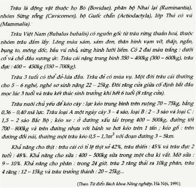 Học sinh đang chăm chú soạn bài Ngữ văn 9