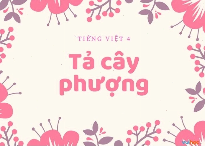 Hướng dẫn cách viết kết bài tả cây phượng lớp 4 hay nhất