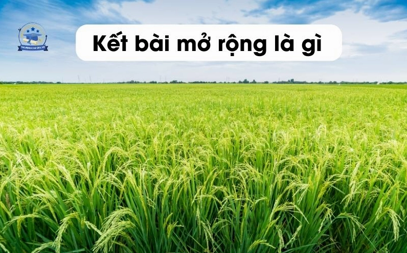 Hướng dẫn chi tiết cách viết kết bài mở rộng và không mở rộng cho bài văn tả cảnh