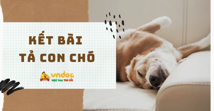 Kết bài mở rộng tả con chó: Hoàn thiện bài văn lớp 4