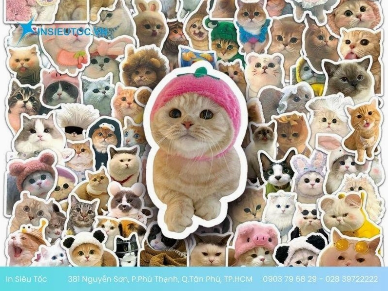 Khám phá thế giới sticker mèo chibi cute: Mẫu mã đa dạng, dễ thương khó cưỡng