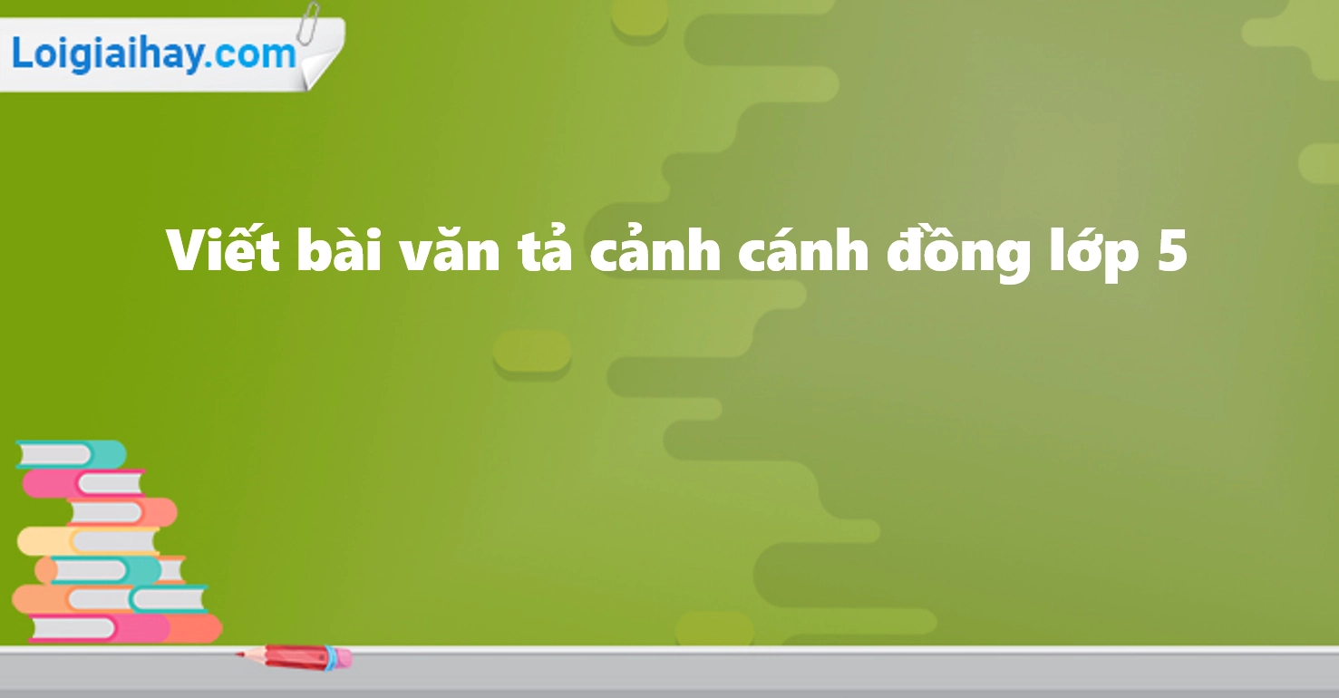 Khám phá vẻ đẹp văn mẫu tả cánh đồng lúa quê em