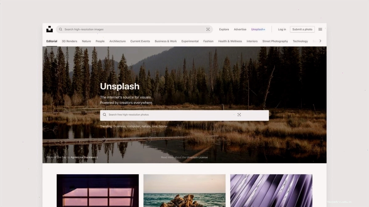 Kho ảnh Unsplash với hình nền anime chất lượng cao