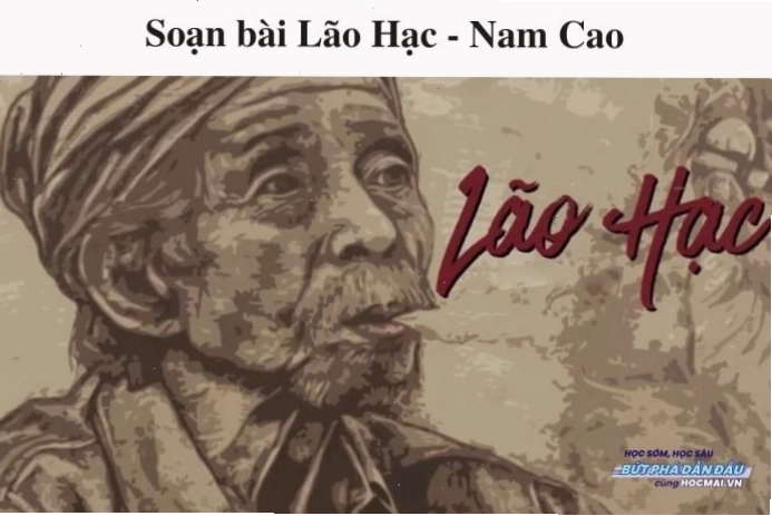 Lão Hạc bên cạnh người bạn tri kỷ Cậu Vàng trong khu vườn tiêu điều