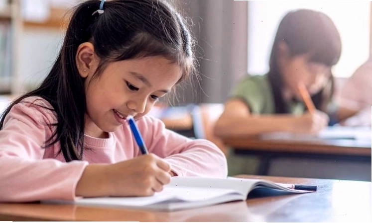 Lợi ích khi tham khảo văn mẫu lớp 3