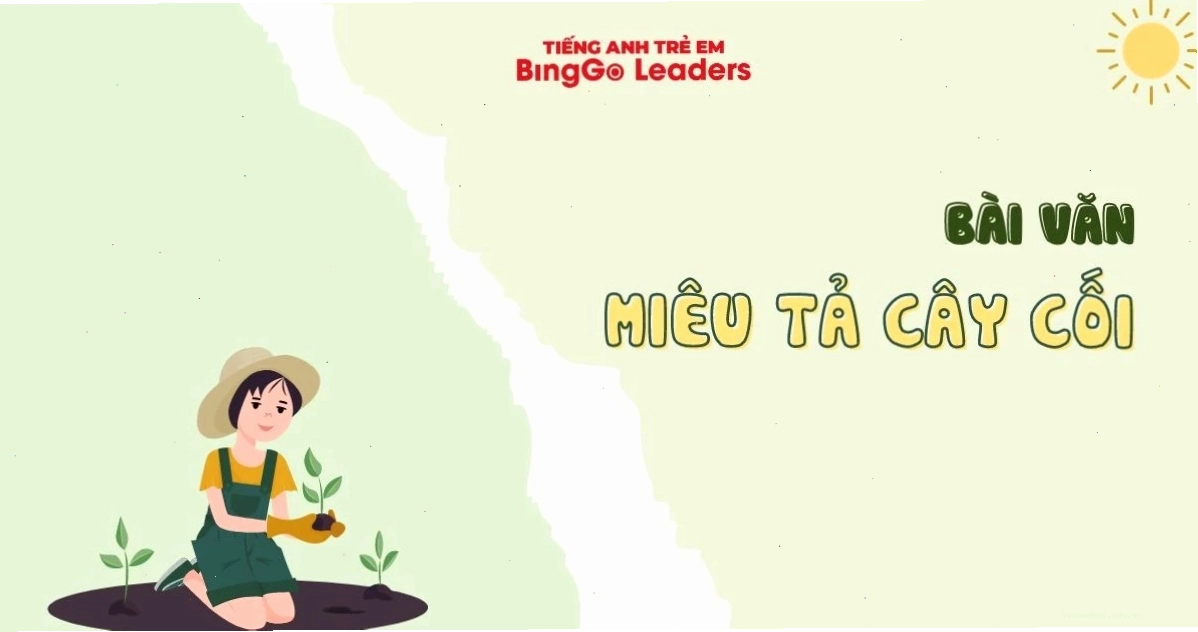 Lời khuyên về bài văn miêu tả cây cối