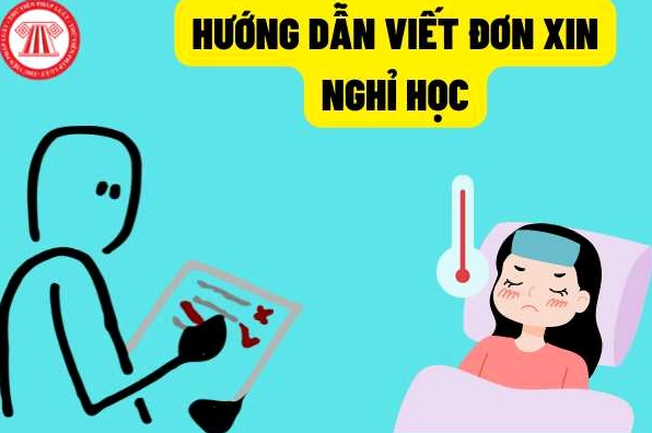 Mẫu đơn xin nghỉ học thêm chuẩn nhất 2026: Hướng dẫn chi tiết