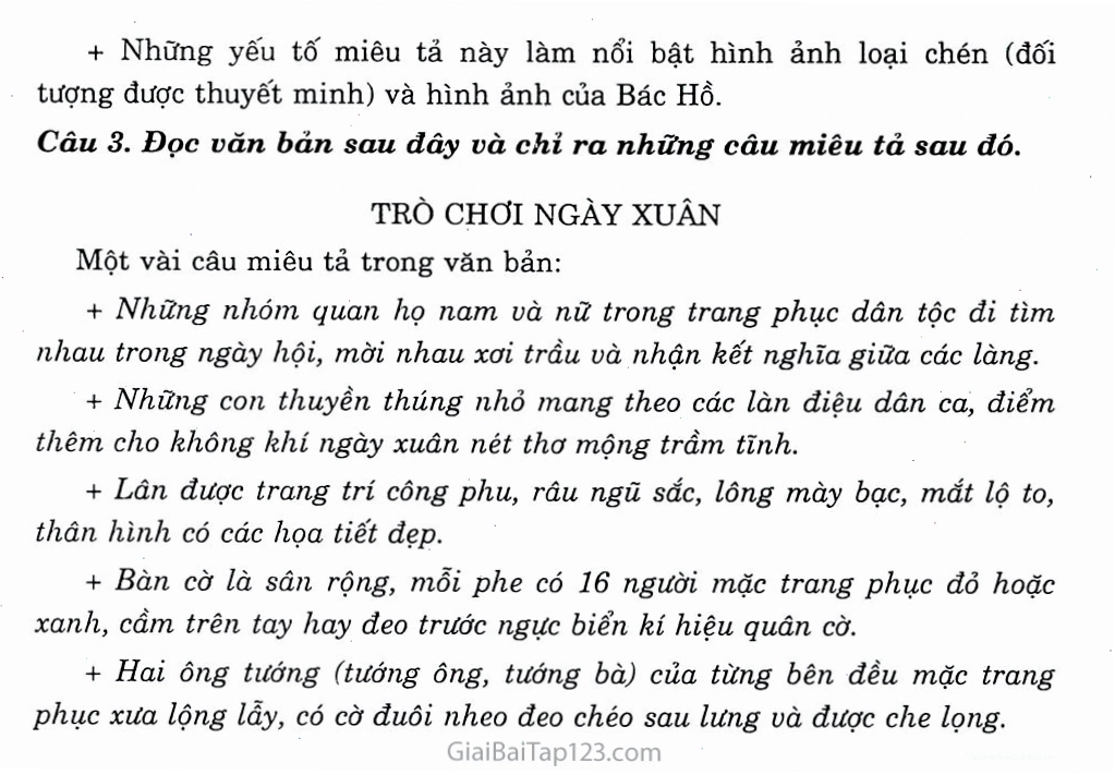 Miêu tả chi tiết cấu trúc thân cây tre với các đốt rõ ràng