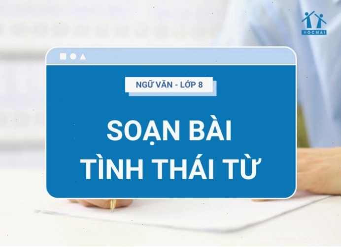 Minh họa các loại tình thái từ và ví dụ sử dụng