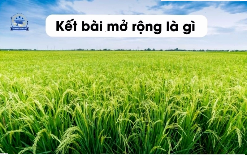Minh họa cách viết kết bài mở rộng cho bài văn tả cảnh