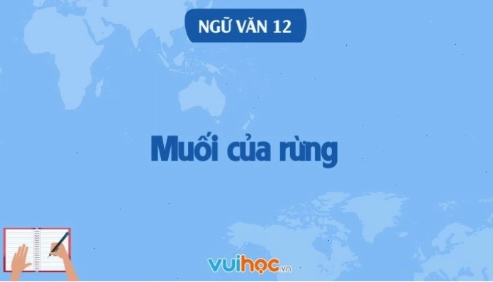 Minh họa cảnh rừng núi trong tác phẩm Muối của rừng