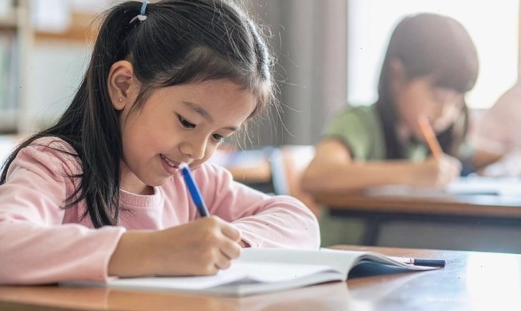 Minh họa lợi ích khi học sinh tham khảo văn mẫu để cải thiện kỹ năng viết