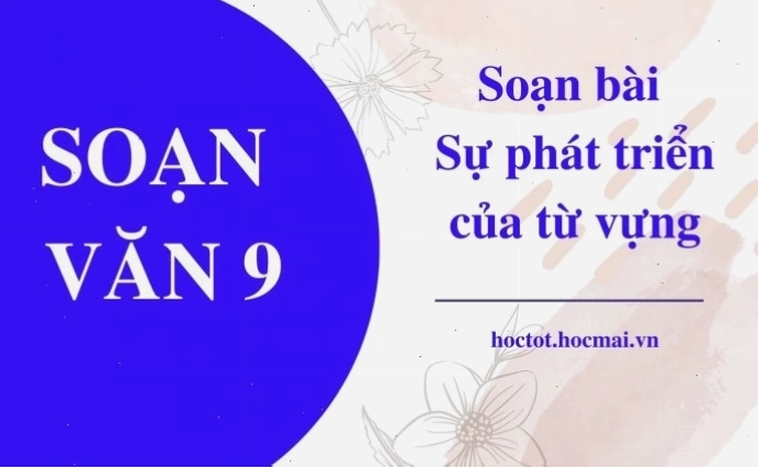 Minh họa sự đa dạng và phong phú của từ vựng tiếng Việt