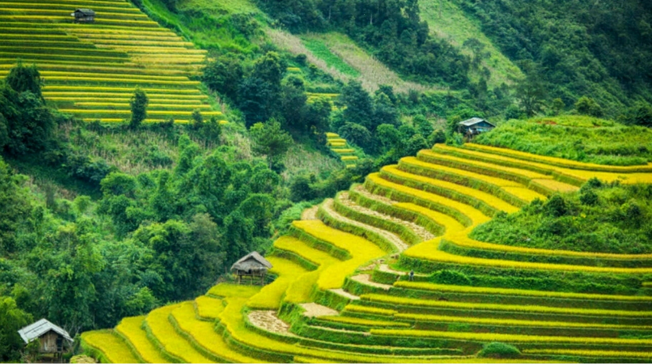 Minh họa tinh thần lạc quan qua hình ảnh thiên nhiên