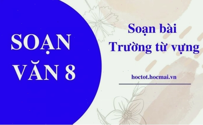 Minh họa về các trường từ vựng khác nhau trong ngôn ngữ