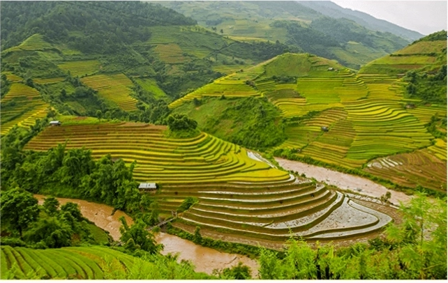 Minh họa vẻ đẹp quê hương Việt Nam