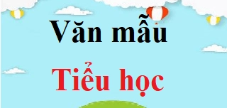 Mở bài nghị luận xã hội: Hướng dẫn chi tiết và các dạng bài hay nhất