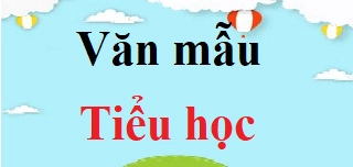 Mở bài văn nghị luận xã hội: Cẩm nang chi tiết cho học sinh 2026