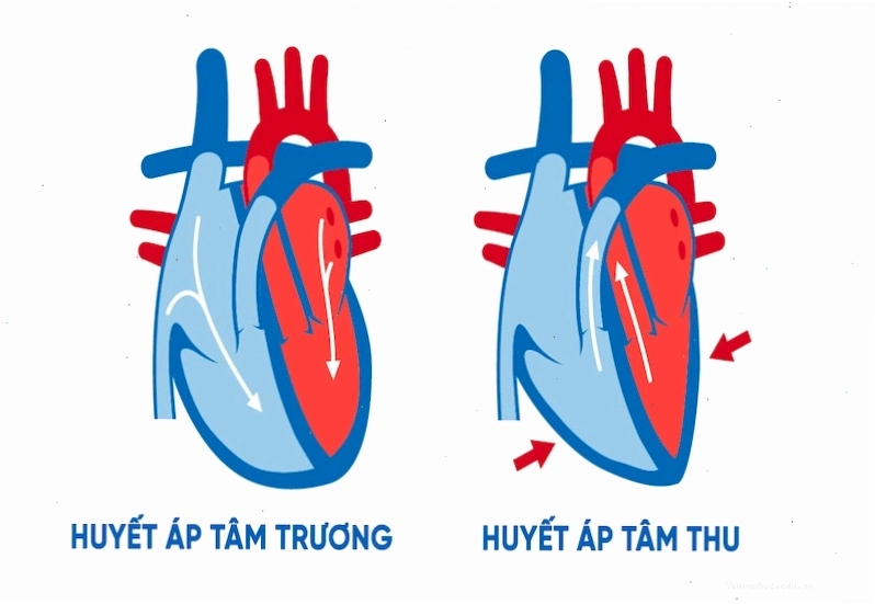 Mô phỏng huyết áp tâm trương và huyết áp tâm thu trên màn hình máy đo