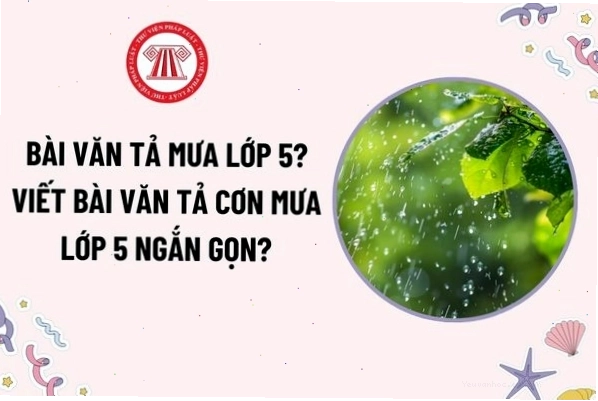 Mưa giông với sấm sét và gió lớn
