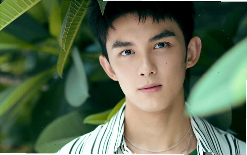 Ngô Lỗi, sao nhí ngày nào giờ đã trưởng thành và tài năng