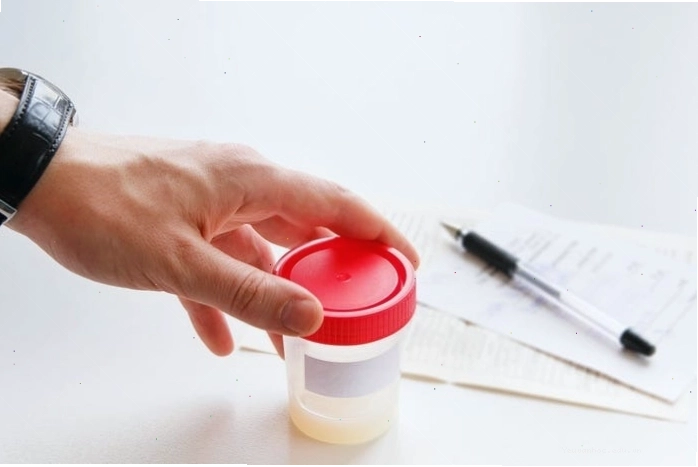 Nhiệt độ và thời gian là hai yếu tố then chốt khi bảo quản tinh trùng tại nhà