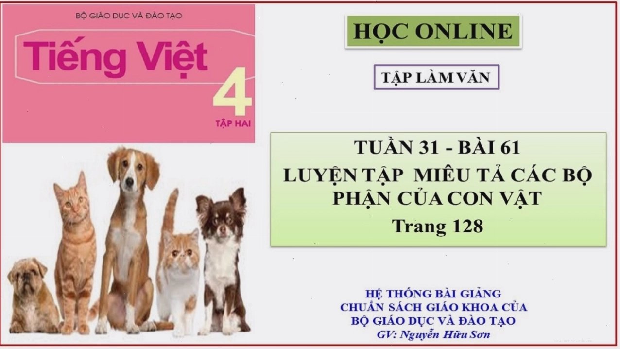 Nhiều giống chó khác nhau với đặc điểm riêng