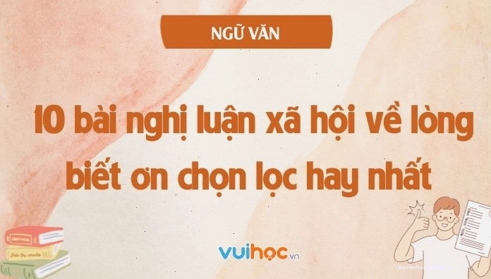 Những bài văn hay về lòng biết ơn