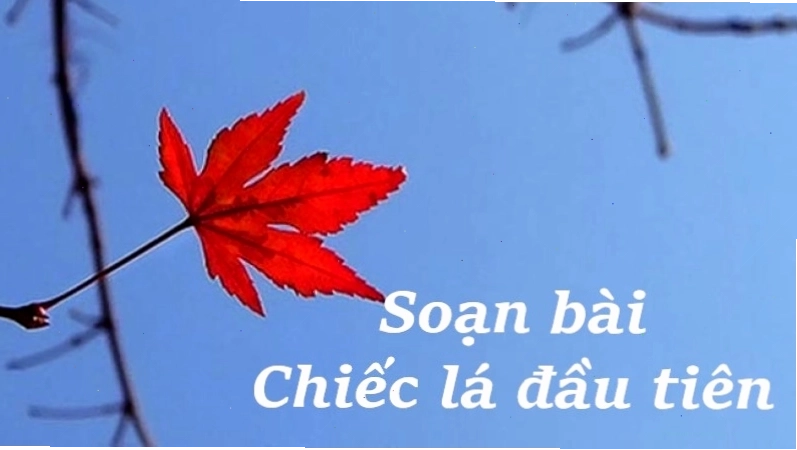 Phân tích bài thơ Chiếc lá đầu tiên