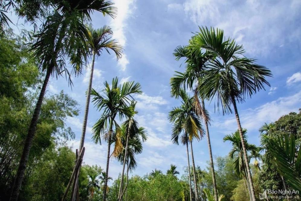 Phân tích bài thơ Đây thôn Vĩ Dạ