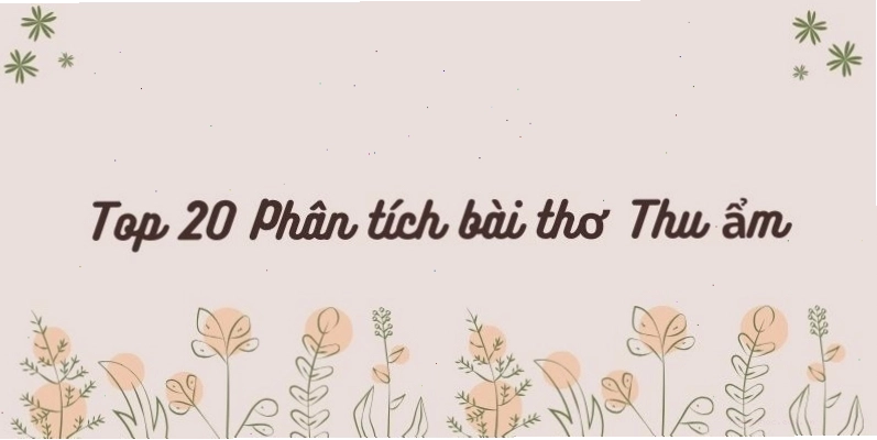 Phân tích bài thơ Thu Ẩm của Nguyễn Khuyến