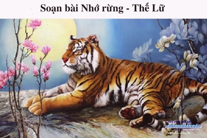 Phân tích chi tiết bài Nhớ rừng