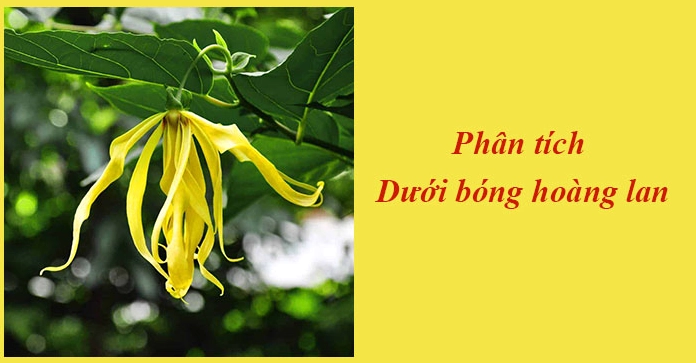 Phân tích sâu tác phẩm Dưới bóng hoàng lan của Thạch Lam