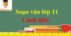 Phân tích tác phẩm trái tim đan kô chi tiết và đầy đủ nhất 2026