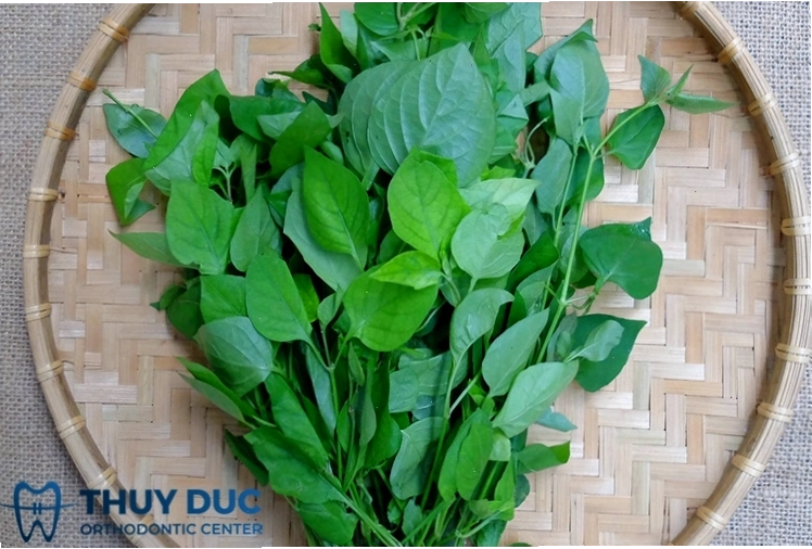 Rau ngót được cho là có tác dụng làm dịu tình trạng viêm lưỡi bản đồ
