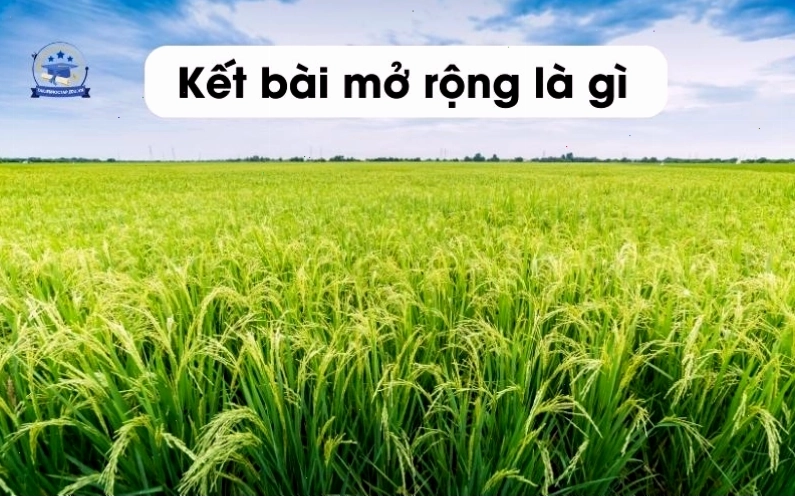 So sánh hai dạng kết bài