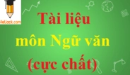 Soạn bài câu cảm thán lớp 8 đầy đủ và chi tiết nhất