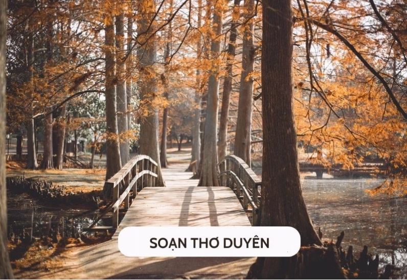 Soạn bài Thơ Duyên