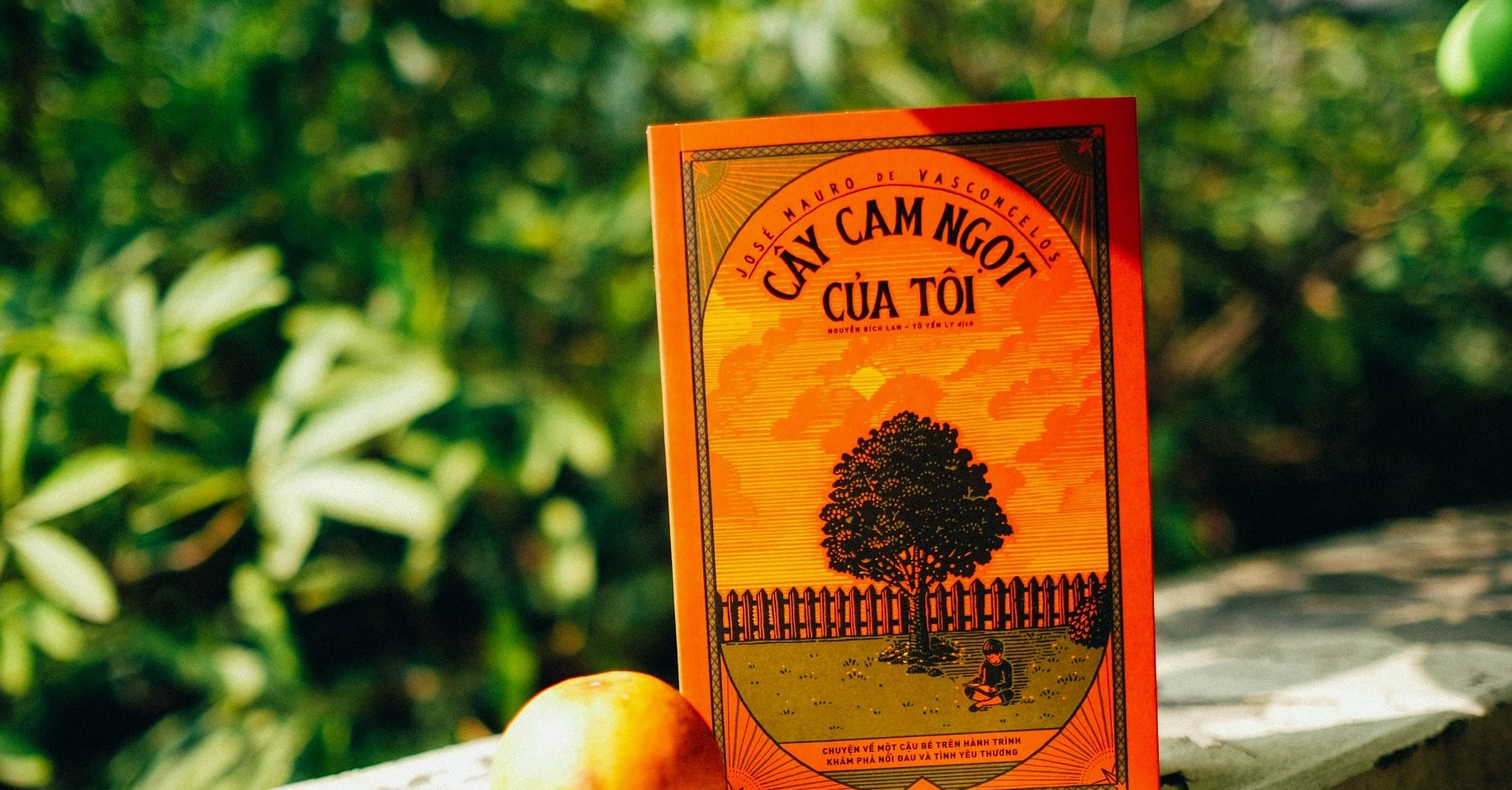 Tác giả 'Cây cam ngọt của tôi': Hành trình sáng tạo và dấu ấn văn chương